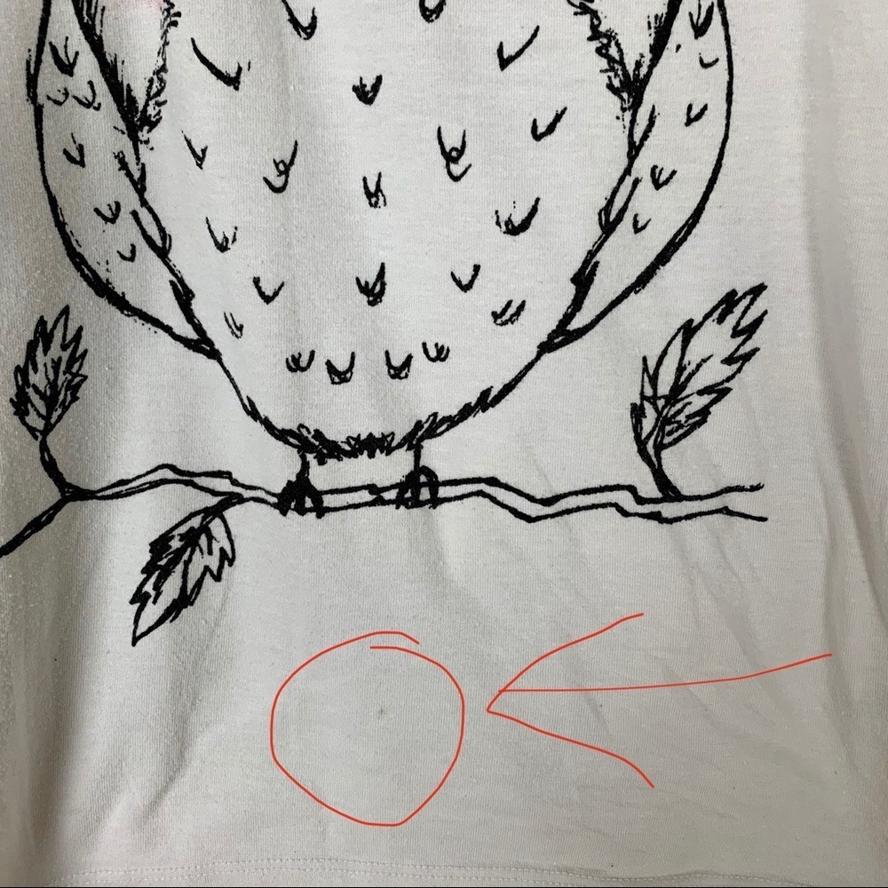 AS-IS Owl Graphic Scoop Neck Tee Large - Picture 9 of 11